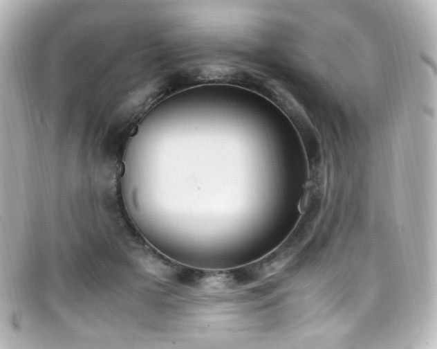 X0000099400505200805081537