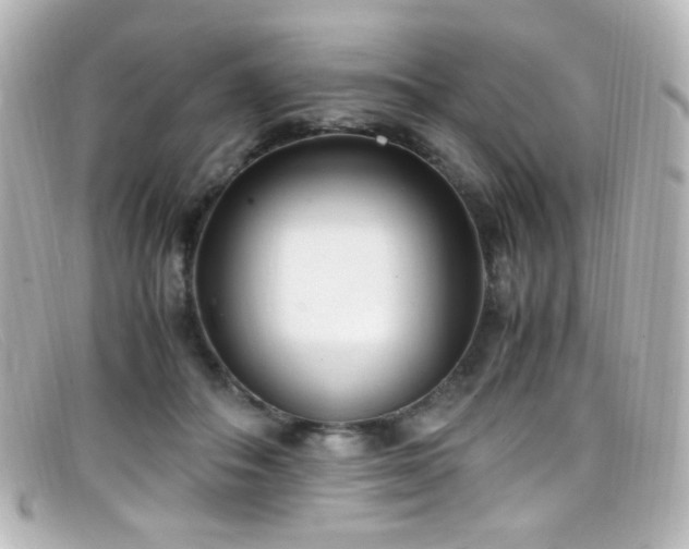 X0000099400506200805081537