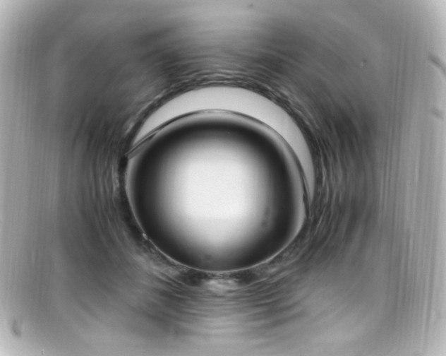 X0000099400508200805081537