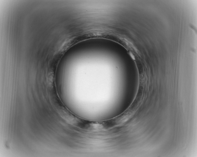 X0000099400509200805081537