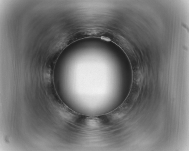 X0000099400510200805081537