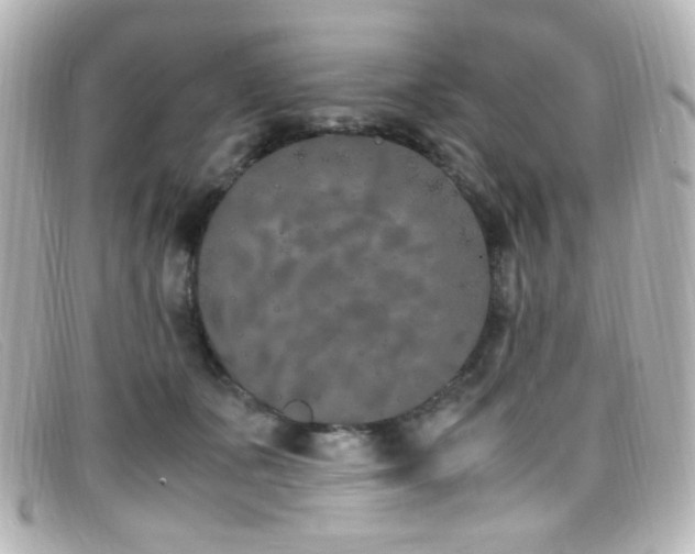 X0000099400511200805081537
