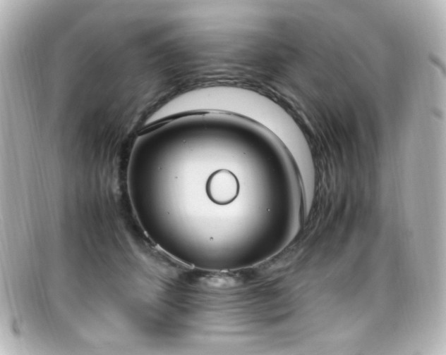 X0000099400512200805081537