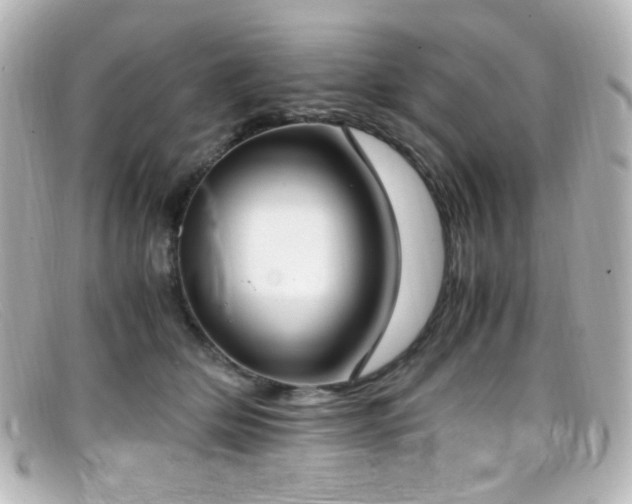 X0000099400514200805081537
