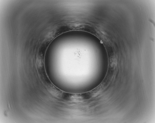 X0000099400515200805081537
