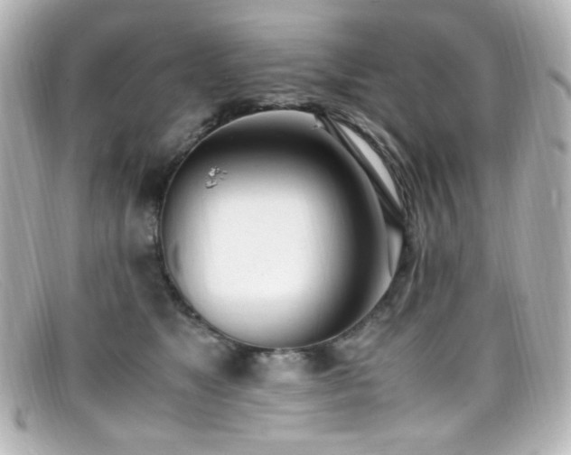 X0000099400517200805081537
