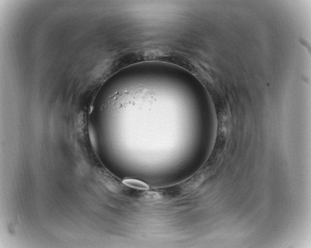 X0000099400519200805081537