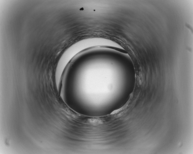 X0000099400520200805081537