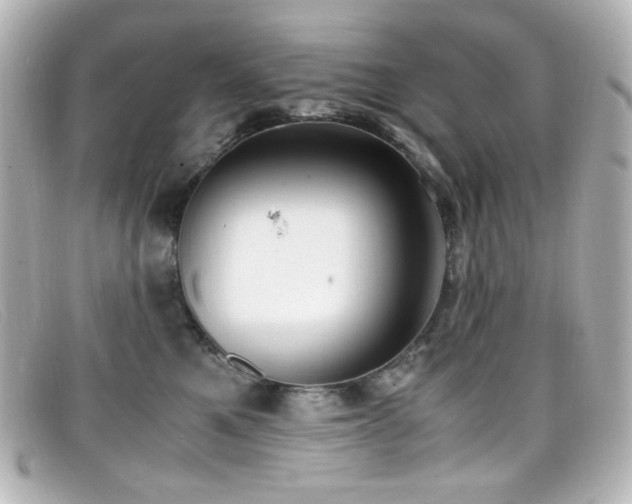X0000099400521200805081537