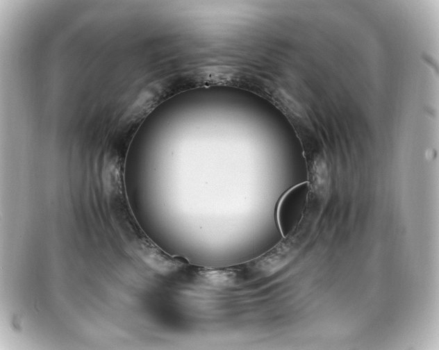 X0000099400522200805081537