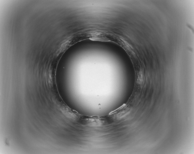 X0000099400524200805081537