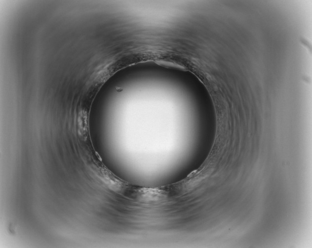 X0000099400528200805081537