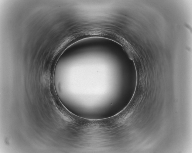 X0000099400530200805081536