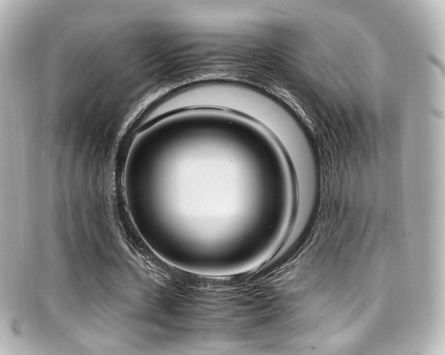 X0000099400531200805081536