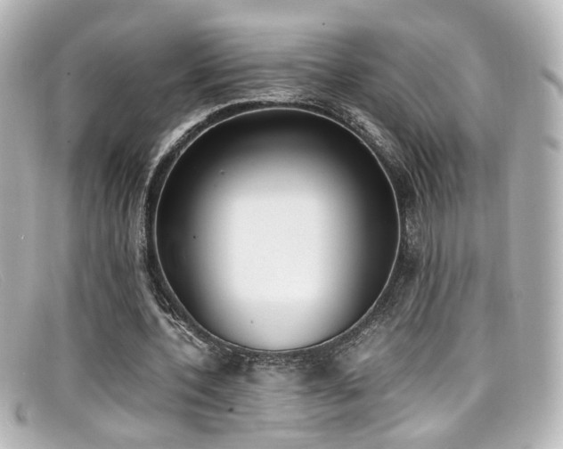 X0000099400532200805081536