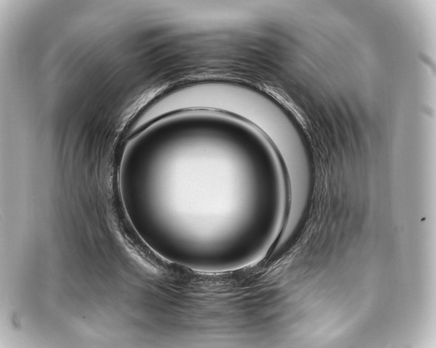 X0000099400533200805081536