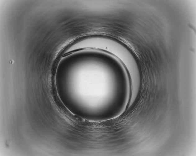 X0000099400535200805081536