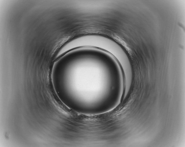 X0000099400537200805081537