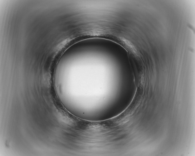 X0000099400540200805081537