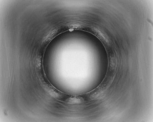X0000099400545200805081537