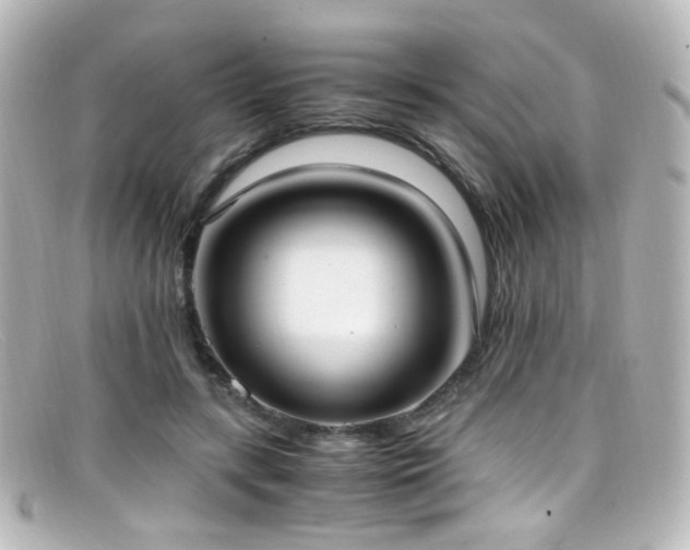X0000099400547200805081537
