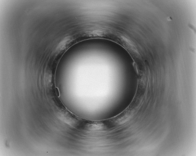 X0000099400548200805081537
