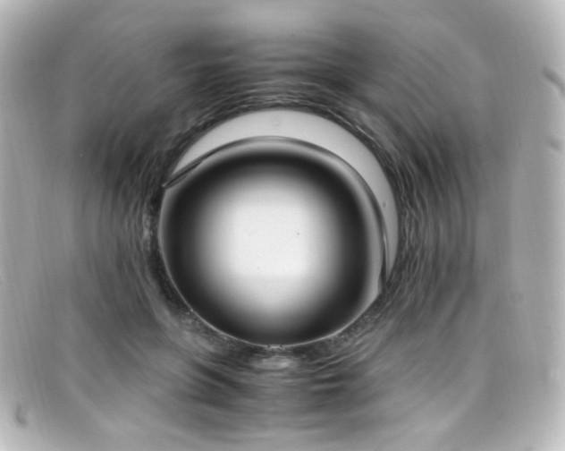 X0000099400551200805081537
