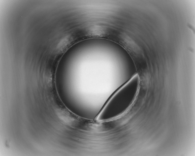 X0000099400552200805081537