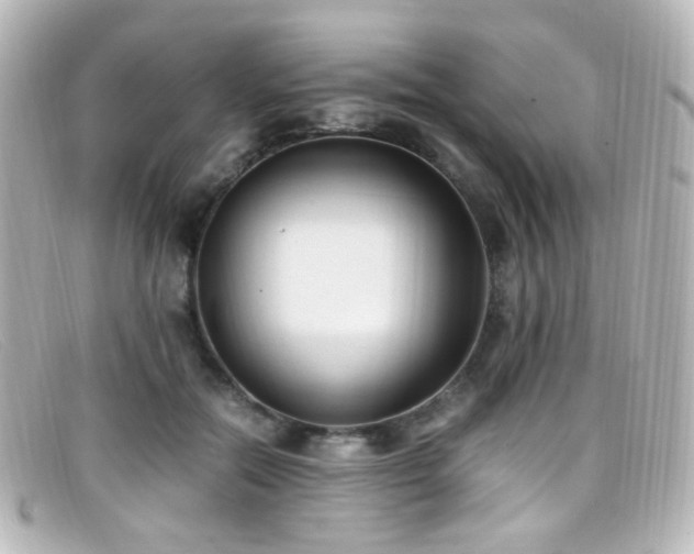 X0000099400554200805081537