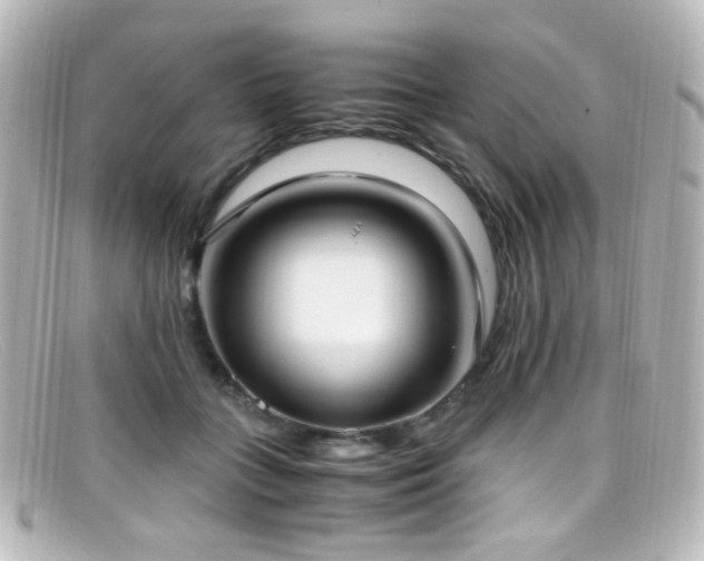 X0000099400555200805081537