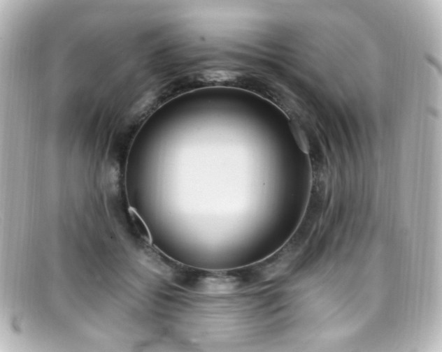 X0000099400556200805081537