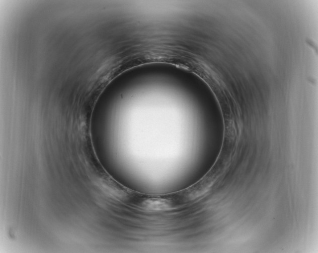 X0000099400557200805081537