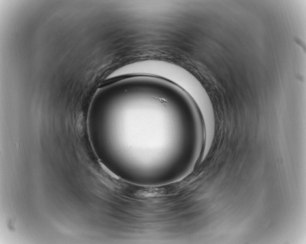 X0000099400563200805081537