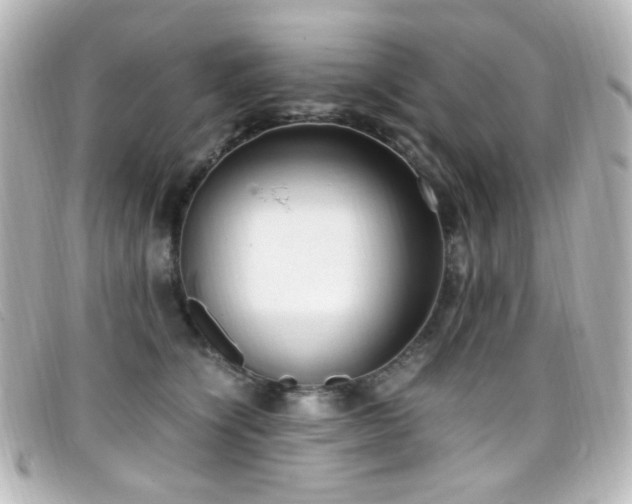 X0000099400564200805081537