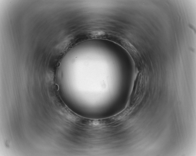 X0000099400565200805081537
