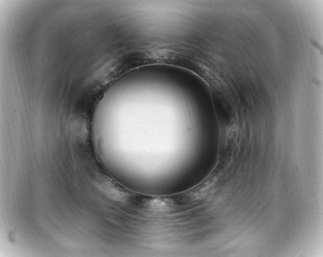 X0000099400566200805081537