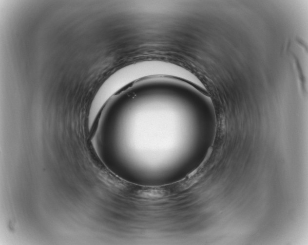 X0000099400567200805081537