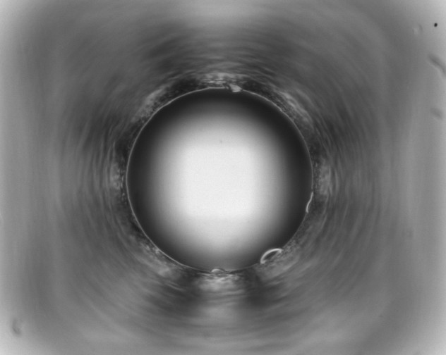 X0000099400569200805081537