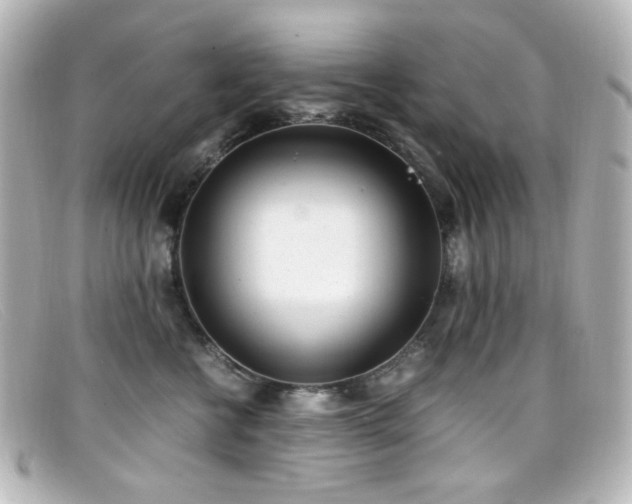 X0000099400570200805081537