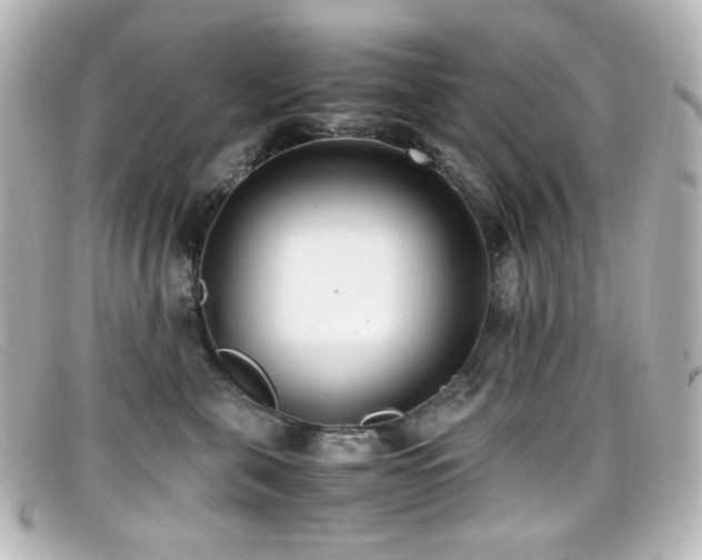 X0000099400571200805081537