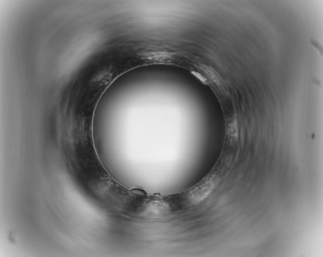 X0000099400572200805081537