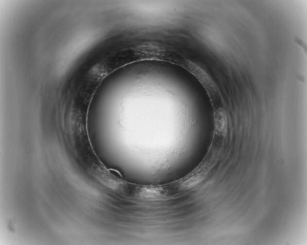 X0000099400573200805081537