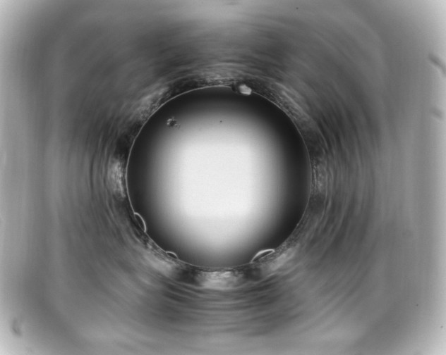 X0000099400575200805081537
