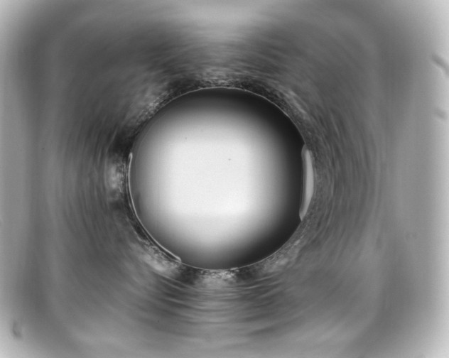 X0000099400576200805081537