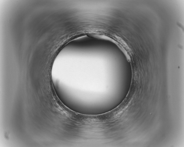 X0000099400577200805081536