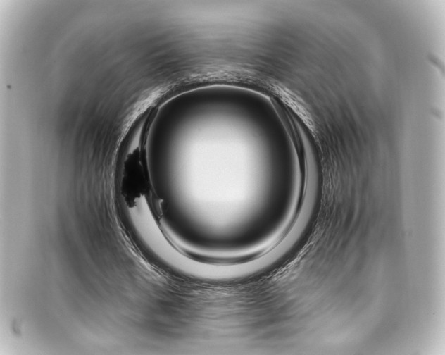 X0000099400578200805081536