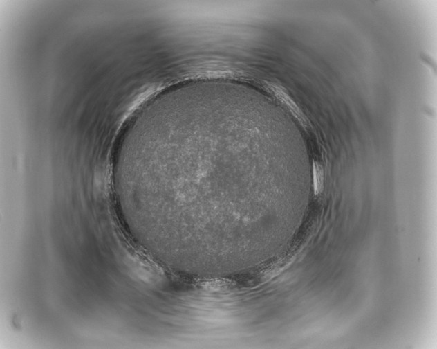 X0000099400579200805081536
