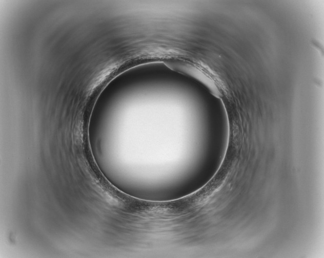 X0000099400581200805081536