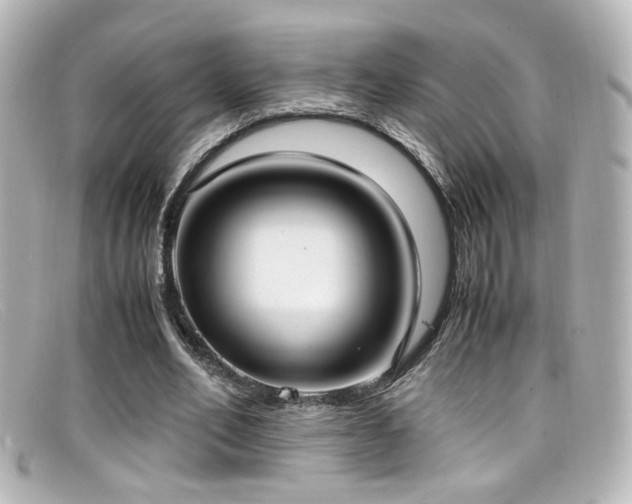 X0000099400582200805081536