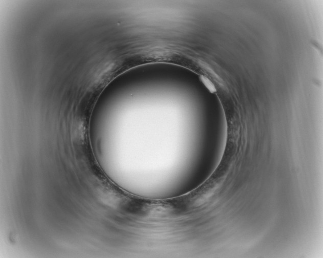 X0000099400597200805081536